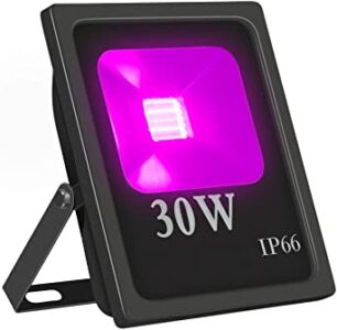Blacklight 30w LED flood | MJevent | verhuur | licht en geluid
