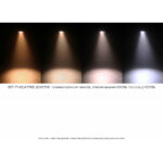 Briteq BT-Theatre 200TW LED Fresnel kleur verloop