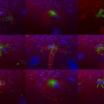 Disco Light Jelly Moon with laser | MJevent | verhuur | licht en geluid