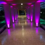 Chauvet DJ Freedom H1 X 4 Accu spots Zwart set gebruik